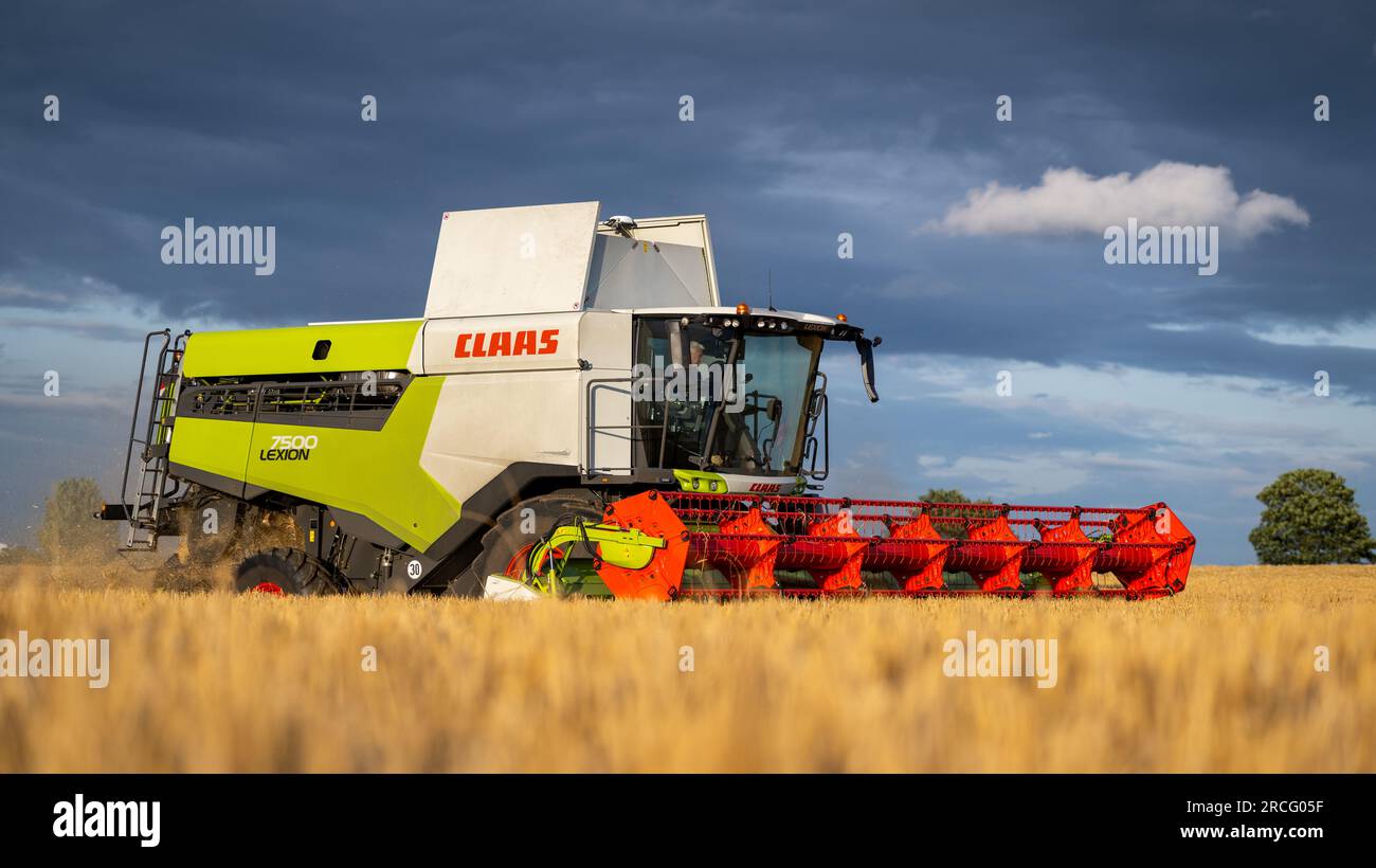Récolte de l'orge d'hiver avec une moissonneuse-batteuse Claas Lexicon 7500 lors d'une soirée estivale orageuse, Ripon, North Yorkshire, Royaume-Uni. Banque D'Images