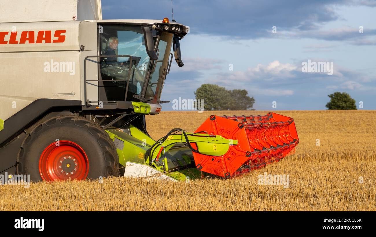Récolte de l'orge d'hiver avec une moissonneuse-batteuse Claas Lexicon 7500 lors d'une soirée estivale orageuse, Ripon, North Yorkshire, Royaume-Uni. Banque D'Images