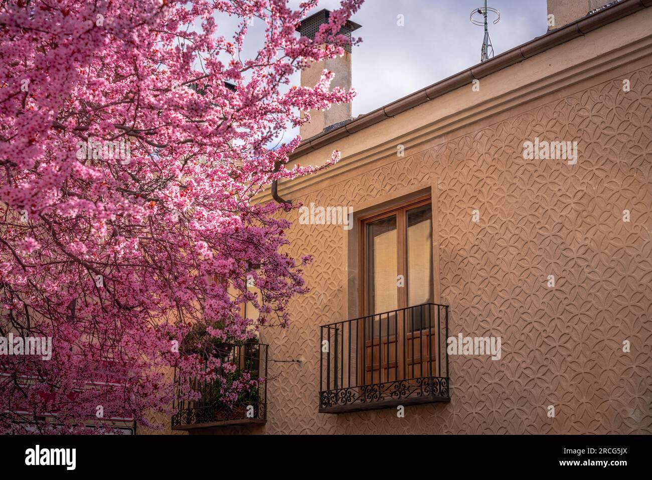 Façade traditionnelle de bâtiment de Ségovie avec des fleurs roses - Ségovie, Espagne Banque D'Images