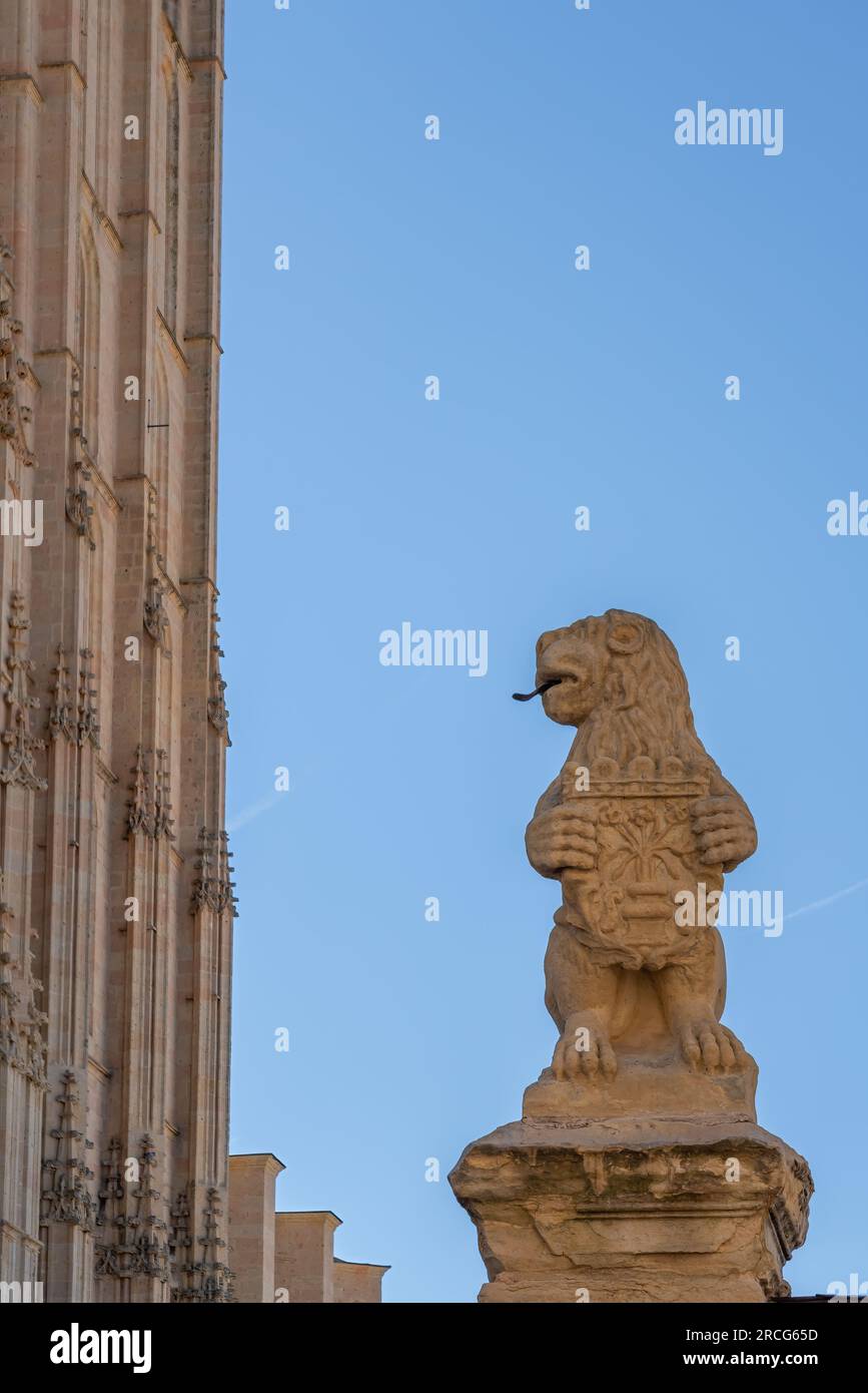 Sculpture de lion devant la cathédrale de Ségovie - Ségovie, Espagne Banque D'Images