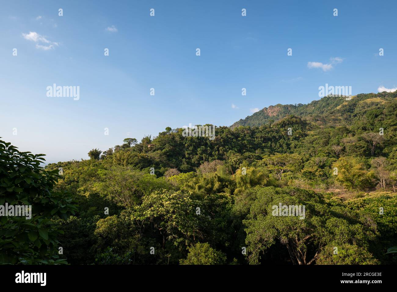 Vue sur le paysage de la jungle sous tropicale colombienne au coucher du soleil Banque D'Images