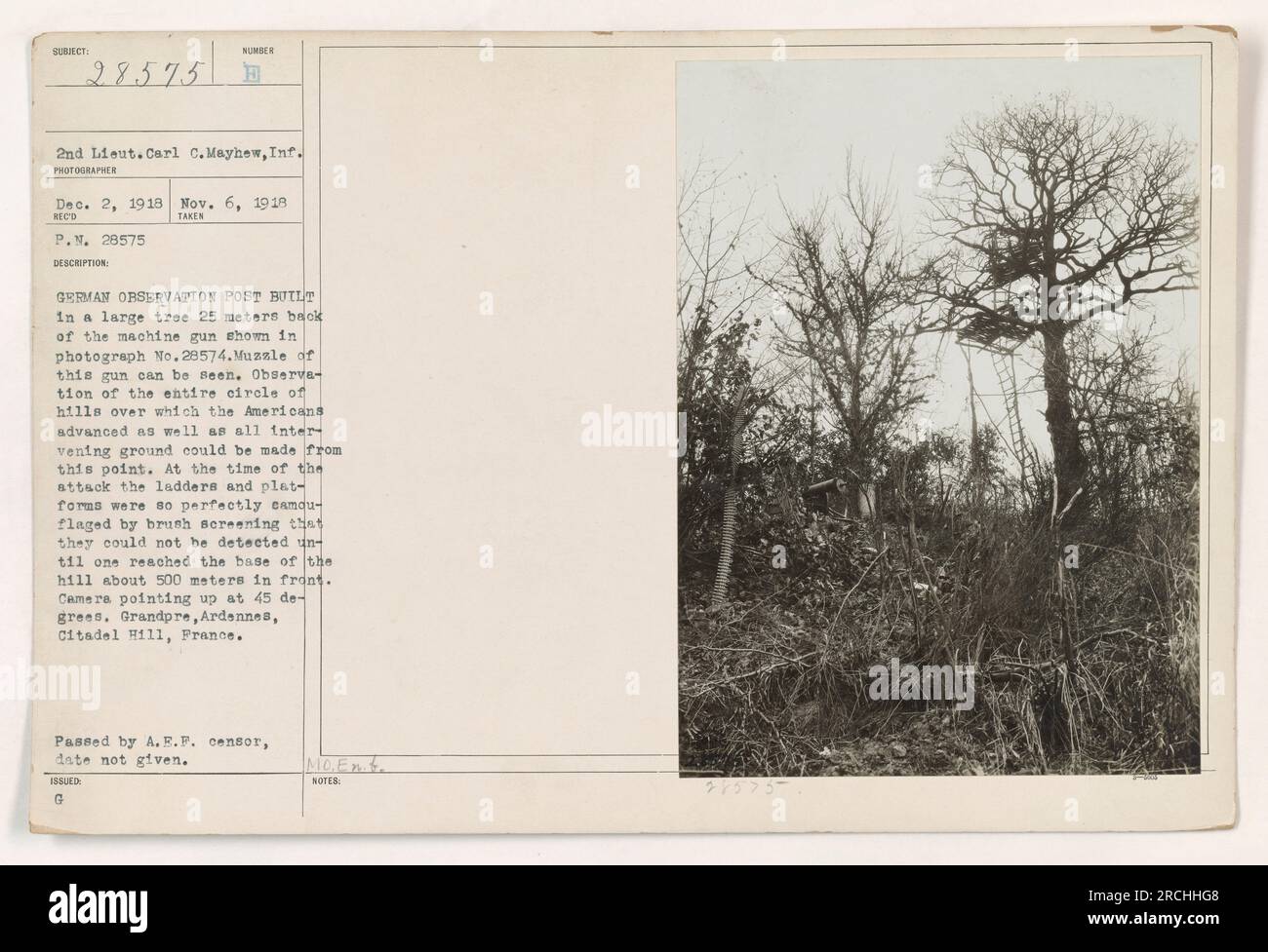 Poste d'observation allemand construit dans un grand arbre à 25 mètres en arrière de la mitrailleuse montrée sur la photo n ° 28574. L'observation de tout le cercle de collines sur lequel les Américains avançaient ainsi que de tout le terrain intermédiaire pouvait être faite à partir de ce point. Caméra pointant vers le haut à 45 degrés. GRANDPRE, Ardennes, colline de la Citadelle, France. Banque D'Images