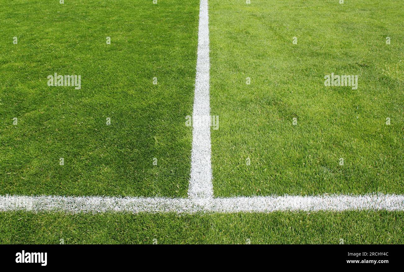 Terrain de football avec Lines Banque D'Images