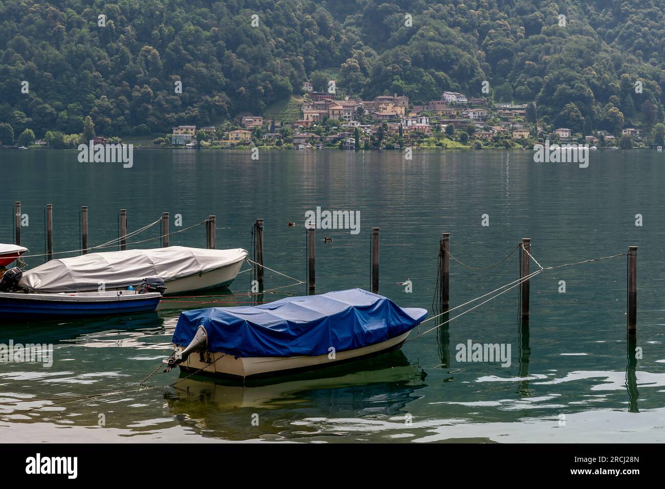 Bateaux couverts ancrés au bord du lac de Caslano, en Suisse, avec Carabietta en arrière-plan Banque D'Images