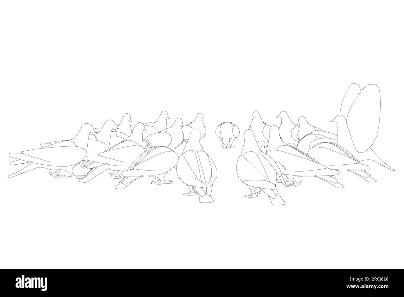 Contour d'oiseau pigeon assis. Conception de personnages de dessins animés plats. Icône oiseau de contour. Modèle mignon de pigeon. Illustration vectorielle isolée sur fond blanc. Illustration de Vecteur