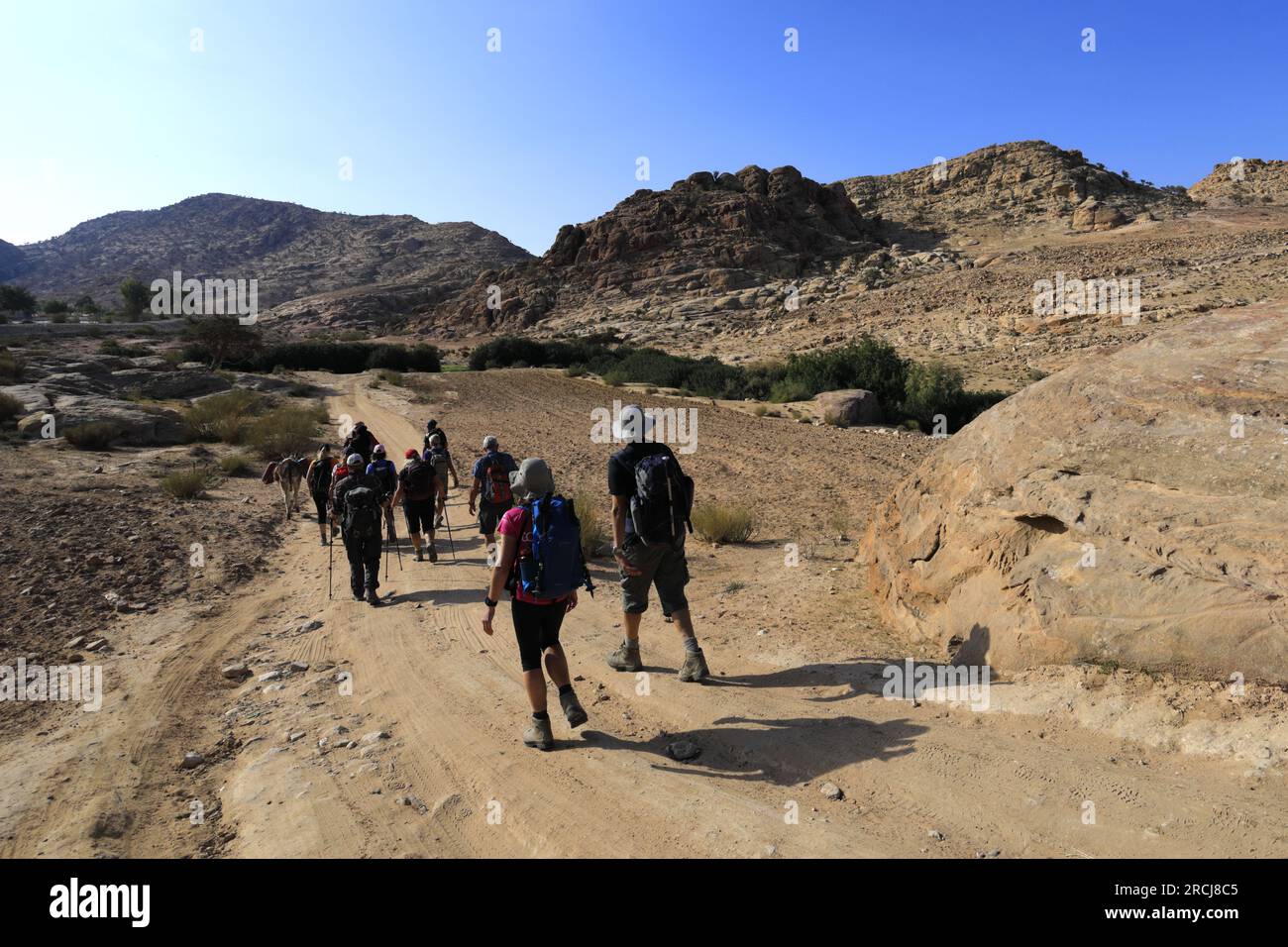 Vue sur le paysage autour de Wadi Ba'aja près de Little Petra, région Al-Sharat de Jordanie, Moyen-Orient Banque D'Images