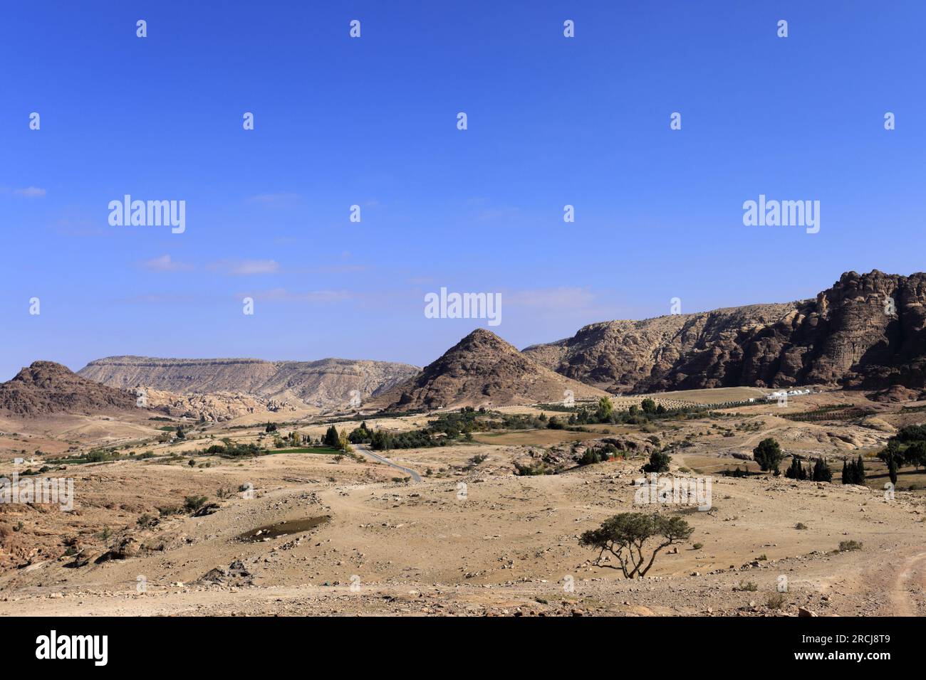 Vue sur le paysage autour de Wadi Ba'aja près de Little Petra, région Al-Sharat de Jordanie, Moyen-Orient Banque D'Images