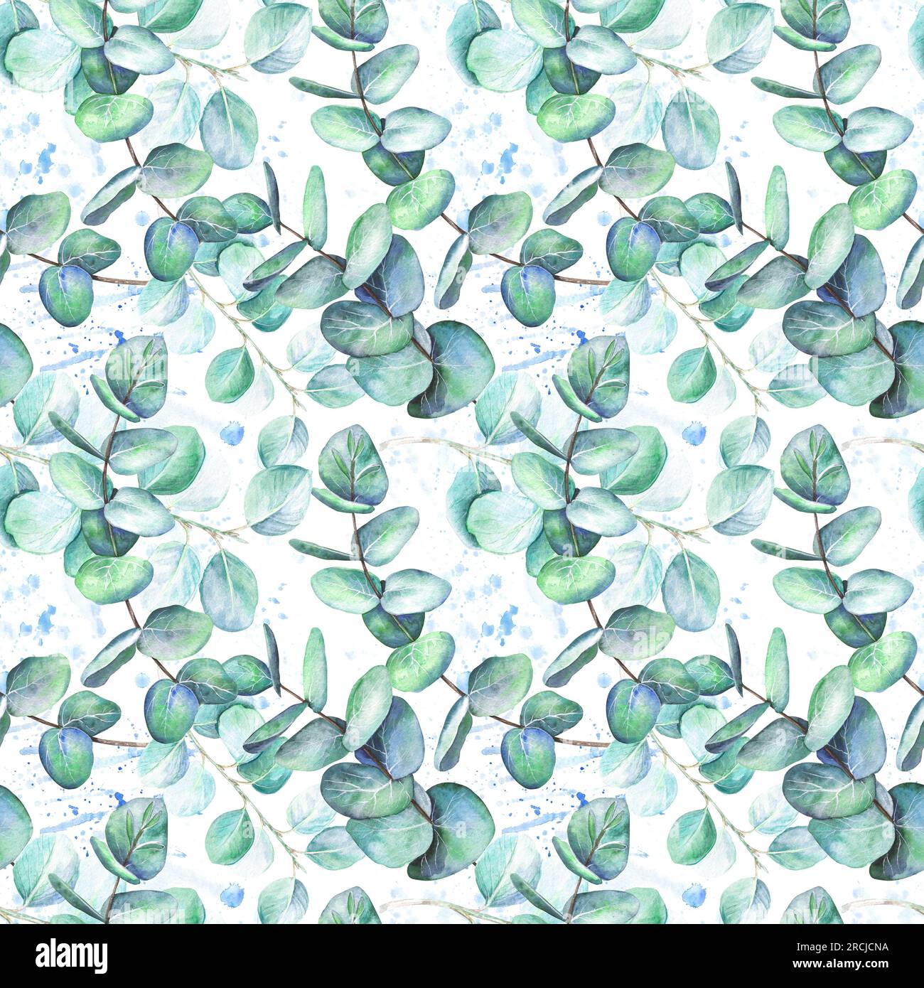 Motif sans couture de feuilles de branches d'eucalyptus avec des mougnons bleus. Illustration aquarelle isolée sur fond blanc. L'application est conçue f Banque D'Images
