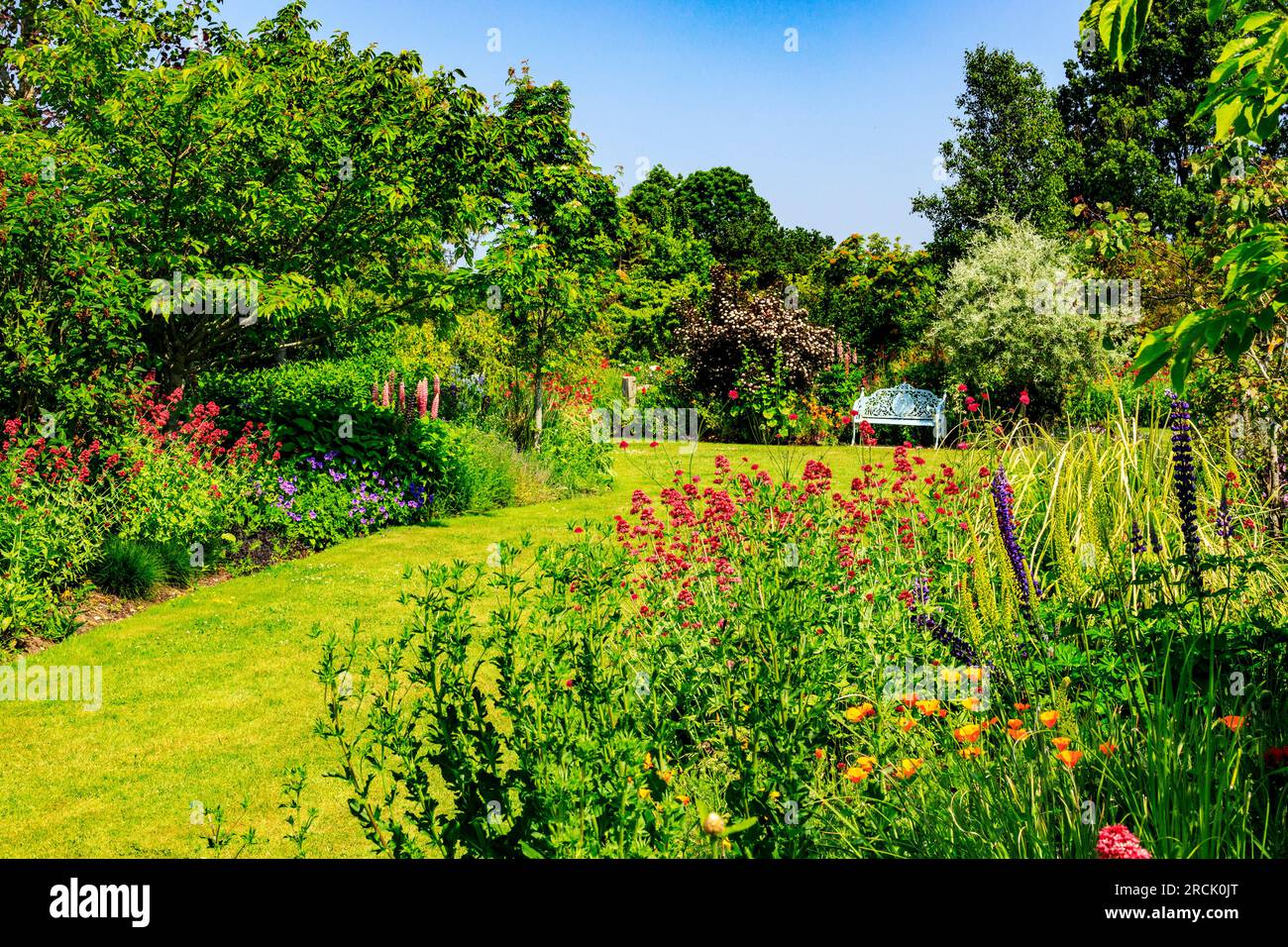 Bordures herbacées colorées et mixtes dans les jardins paysagers Holme Gardens près de Wareham, Dorset, Angleterre, Royaume-Uni Banque D'Images