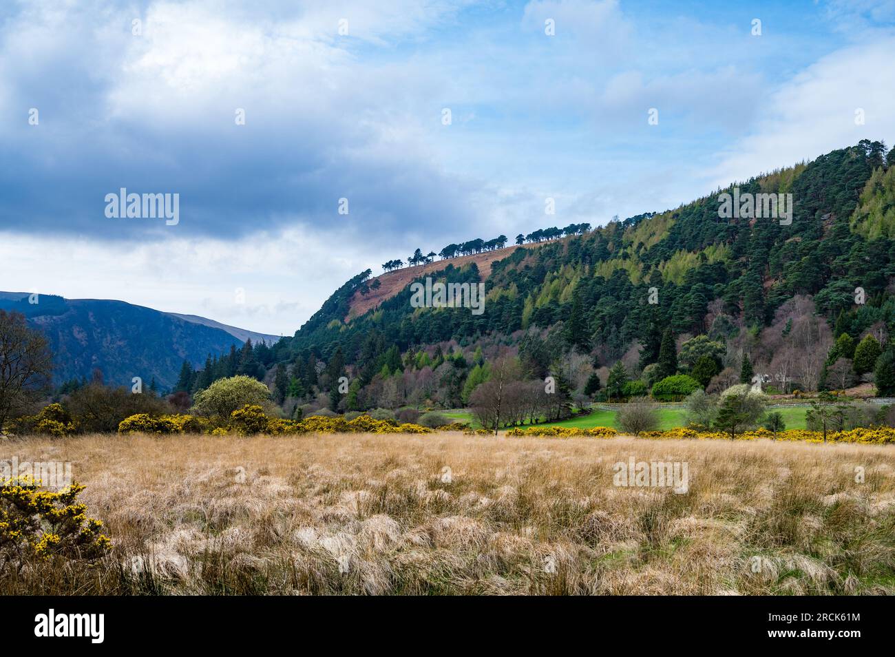 Vue sur les collines, Glendalough, comté de Wicklow, République d'Irlande Banque D'Images