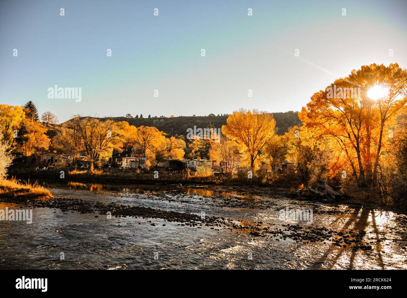 Rivière Animas avec tremble dans des couleurs d'automne vives dans le Colorado, États-Unis Banque D'Images