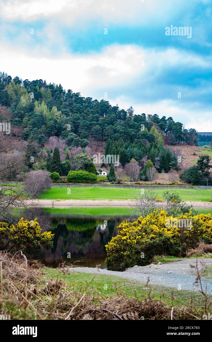 Réflexion dans le lac à Glendalough, comté de Wicklow, République d'Irlande Banque D'Images