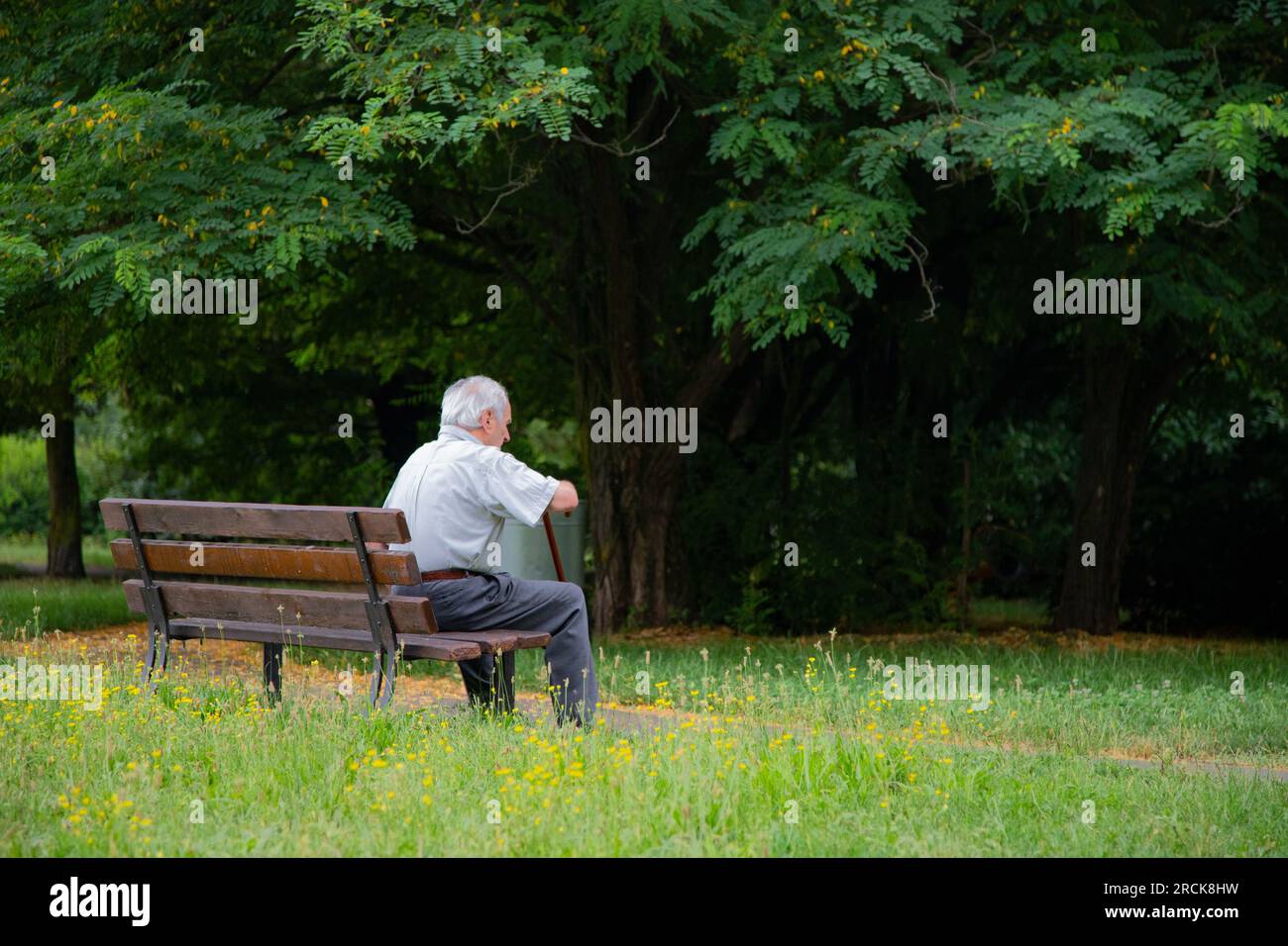 Un vieil homme se repose assis sur le banc dans le parc Banque D'Images