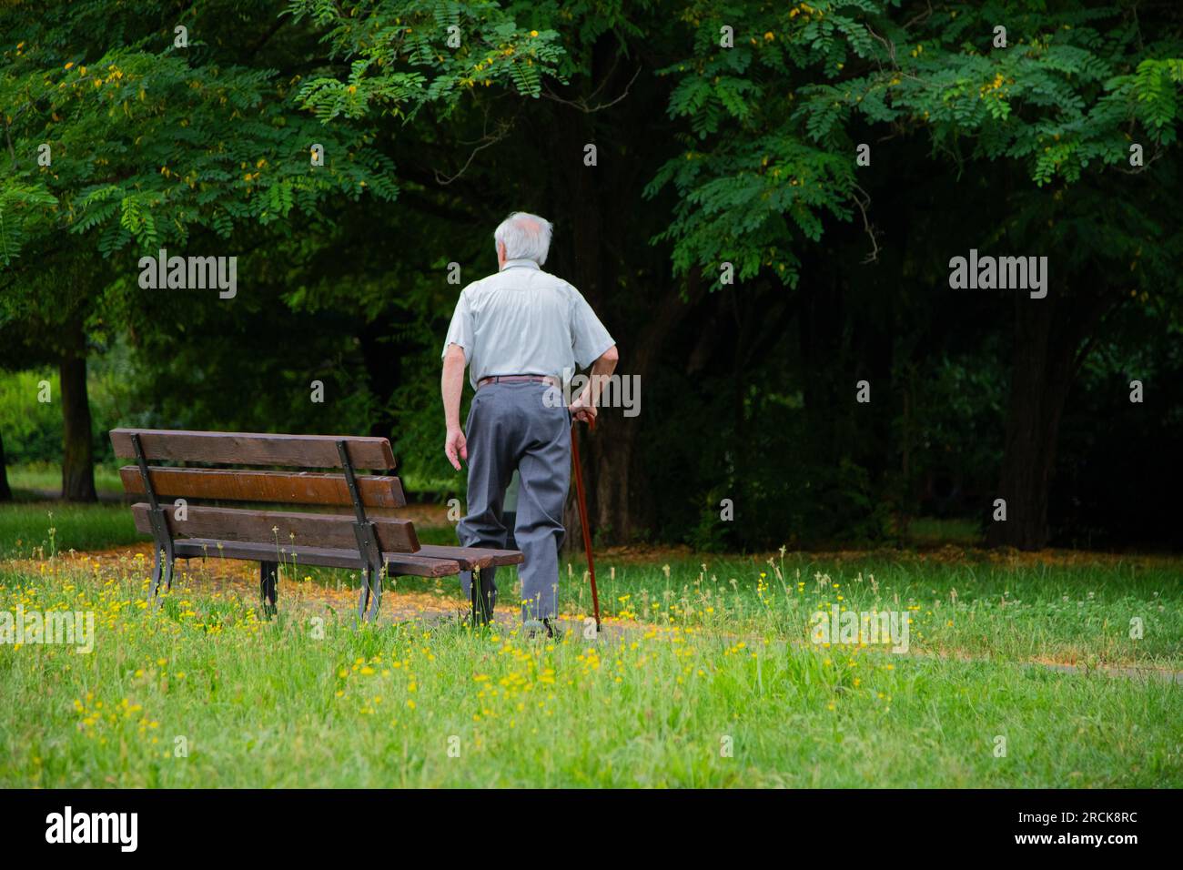 Un vieil homme se repose assis sur le banc dans le parc Banque D'Images
