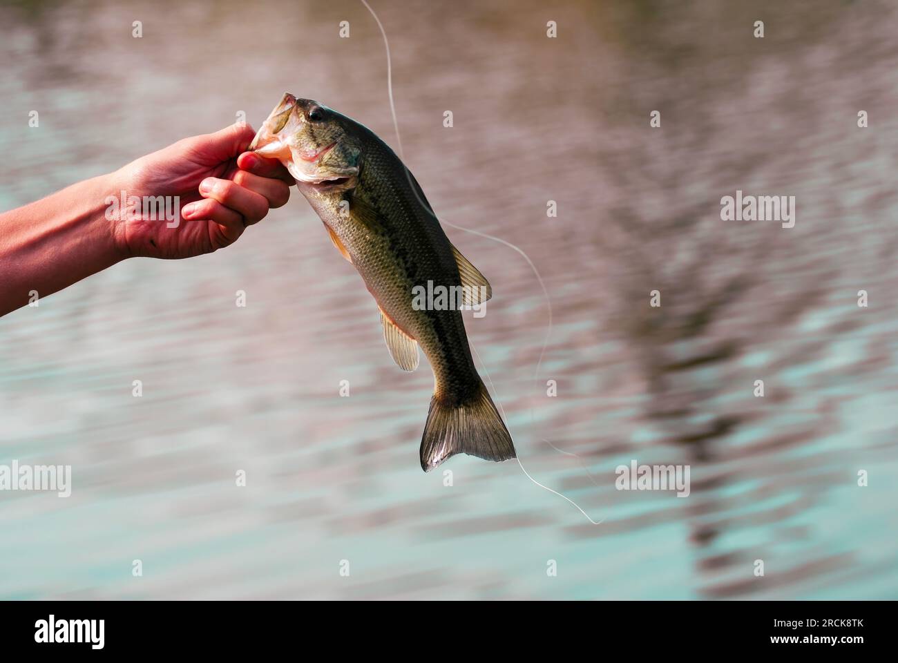 Vecteur, Un Homme, Attraper Du Poisson | Vecteur Premium