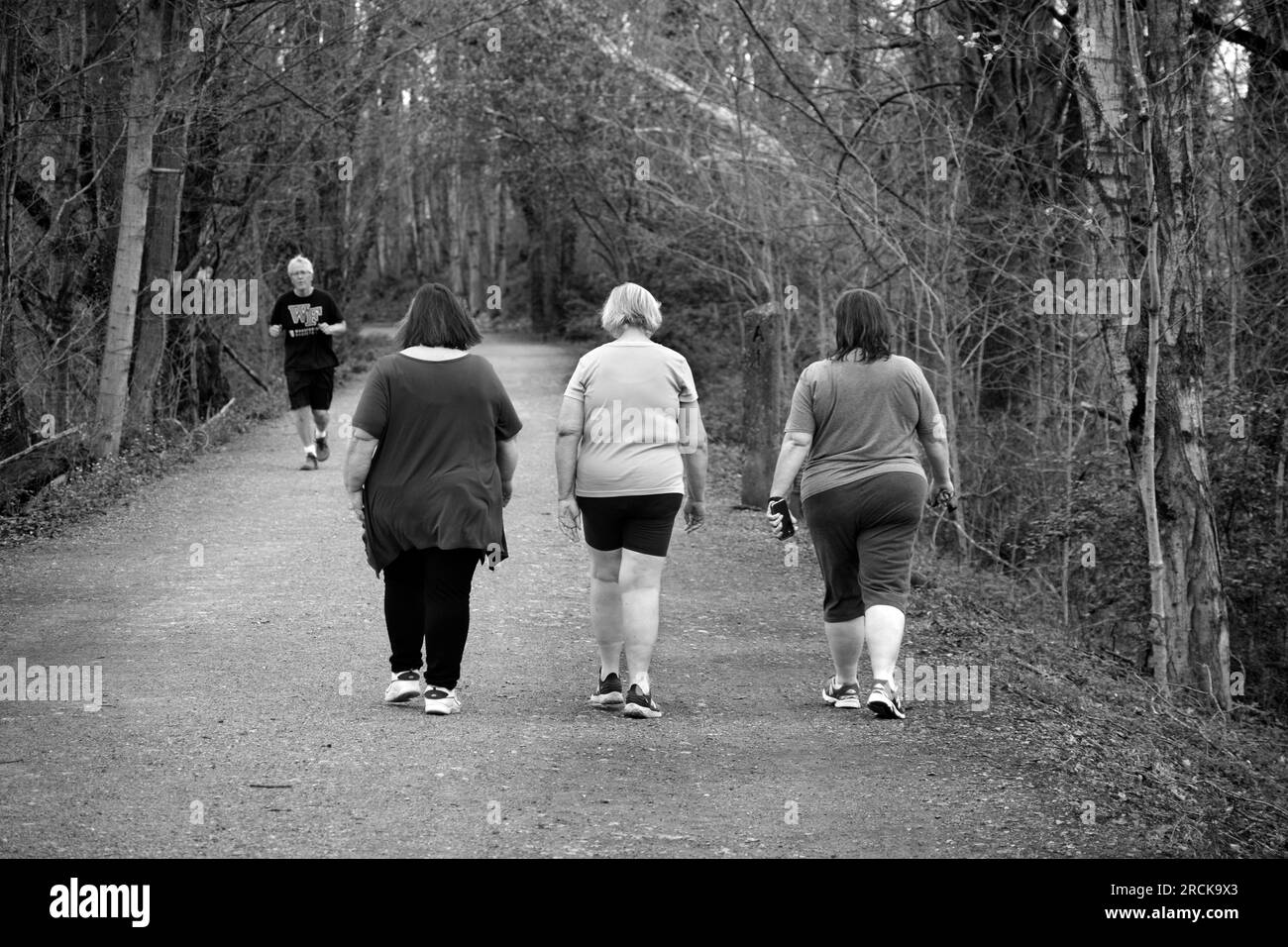 Trois femmes marchent le long du Virginia Creeper Trail, un sentier populaire de randonnée, de jogging, de marche et de vélo à Abingdon, en Virginie. Banque D'Images