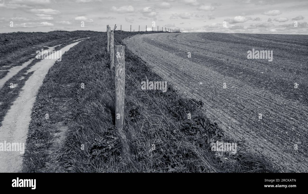 Rotected Banque de photographies et d’images à haute résolution - Alamy