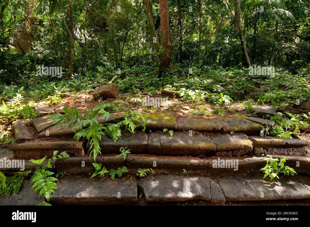 Vieux autel marches d'une église dans le sentier espagnol historique Camino de Cruces au Panama, Amérique centrale - stock photo Banque D'Images