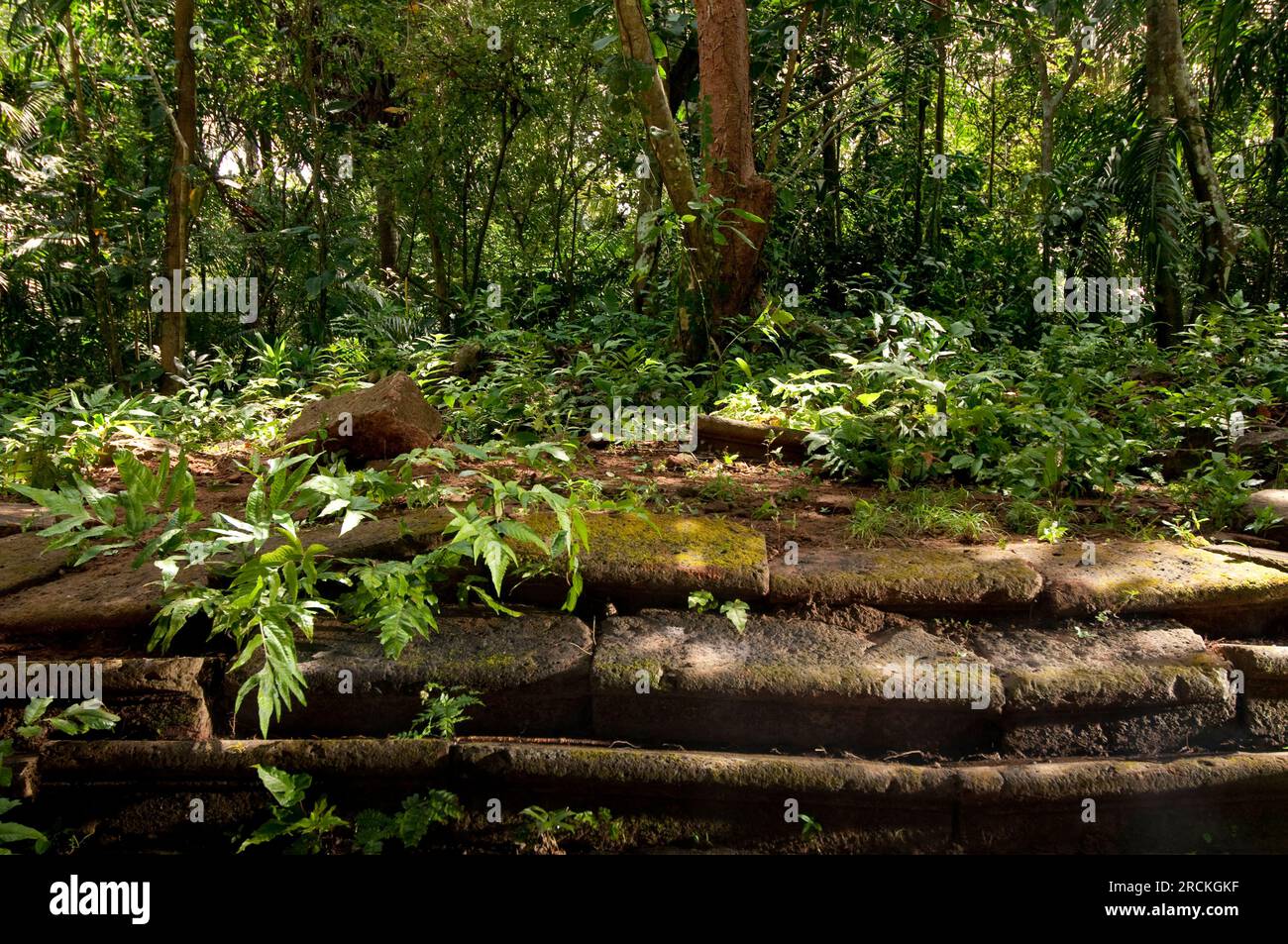 Vieux autel marches d'une église dans le sentier espagnol historique Camino de Cruces au Panama, Amérique centrale - stock photo Banque D'Images
