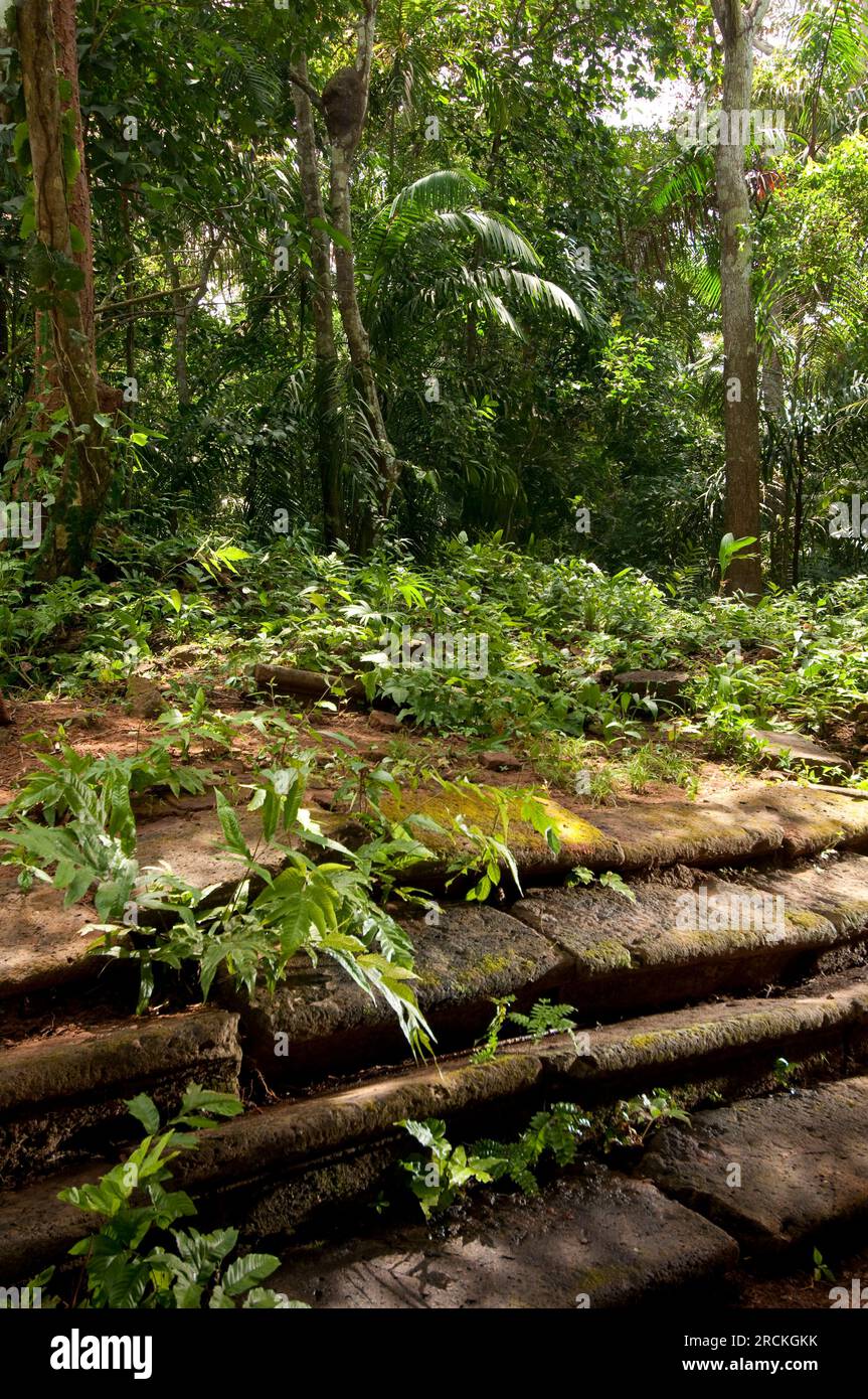 Vieux autel marches d'une église dans le sentier espagnol historique Camino de Cruces au Panama, Amérique centrale - stock photo Banque D'Images