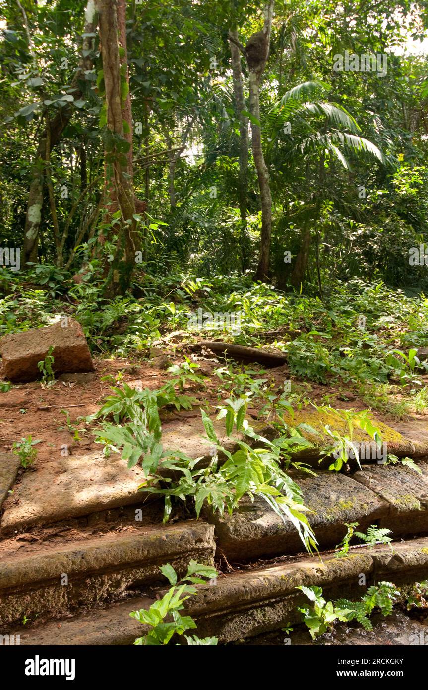 Vieux autel marches d'une église dans le sentier espagnol historique Camino de Cruces au Panama, Amérique centrale - stock photo Banque D'Images