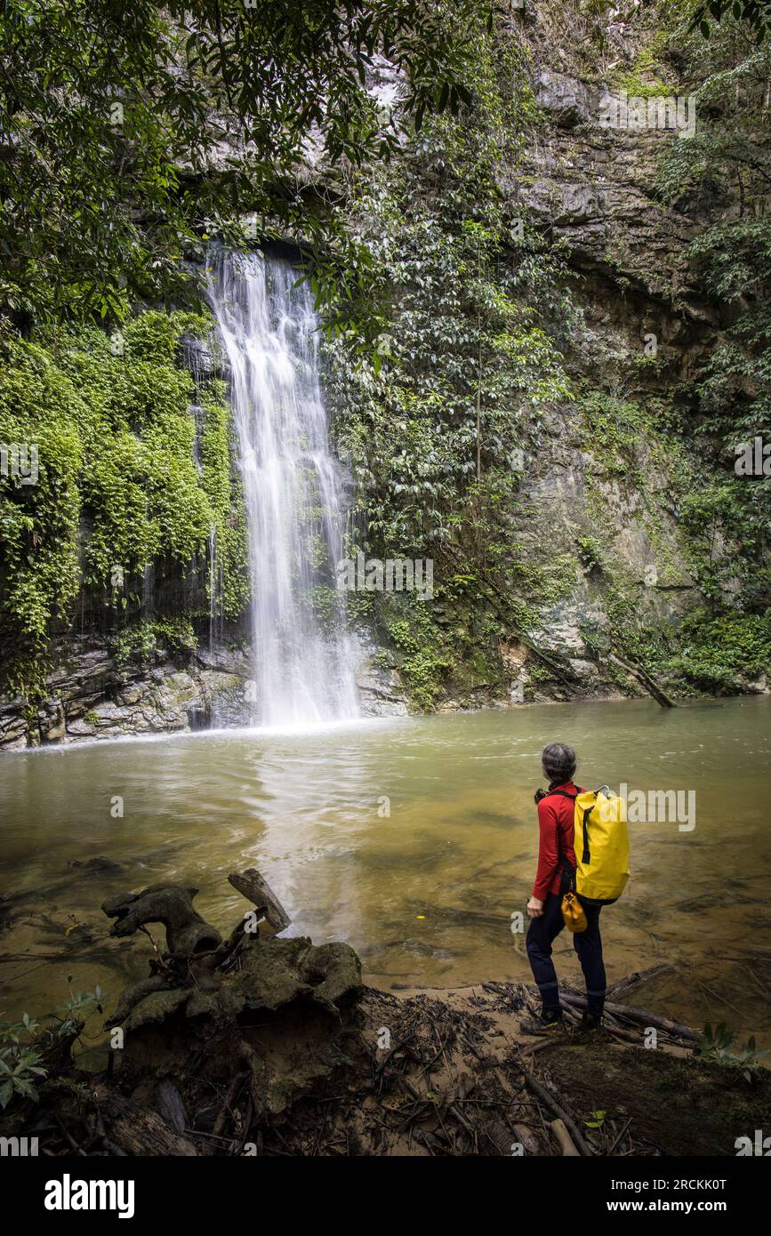 Cascade sur la rivière Paku, forêt tropicale, Mulu, Malaisie Banque D'Images