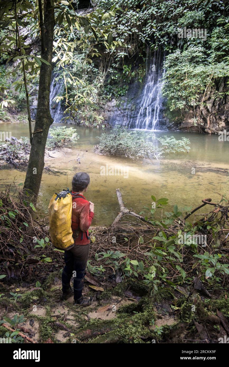 Personne regardant la cascade sur la rivière Paku, forêt tropicale, Mulu, Malaisie Banque D'Images