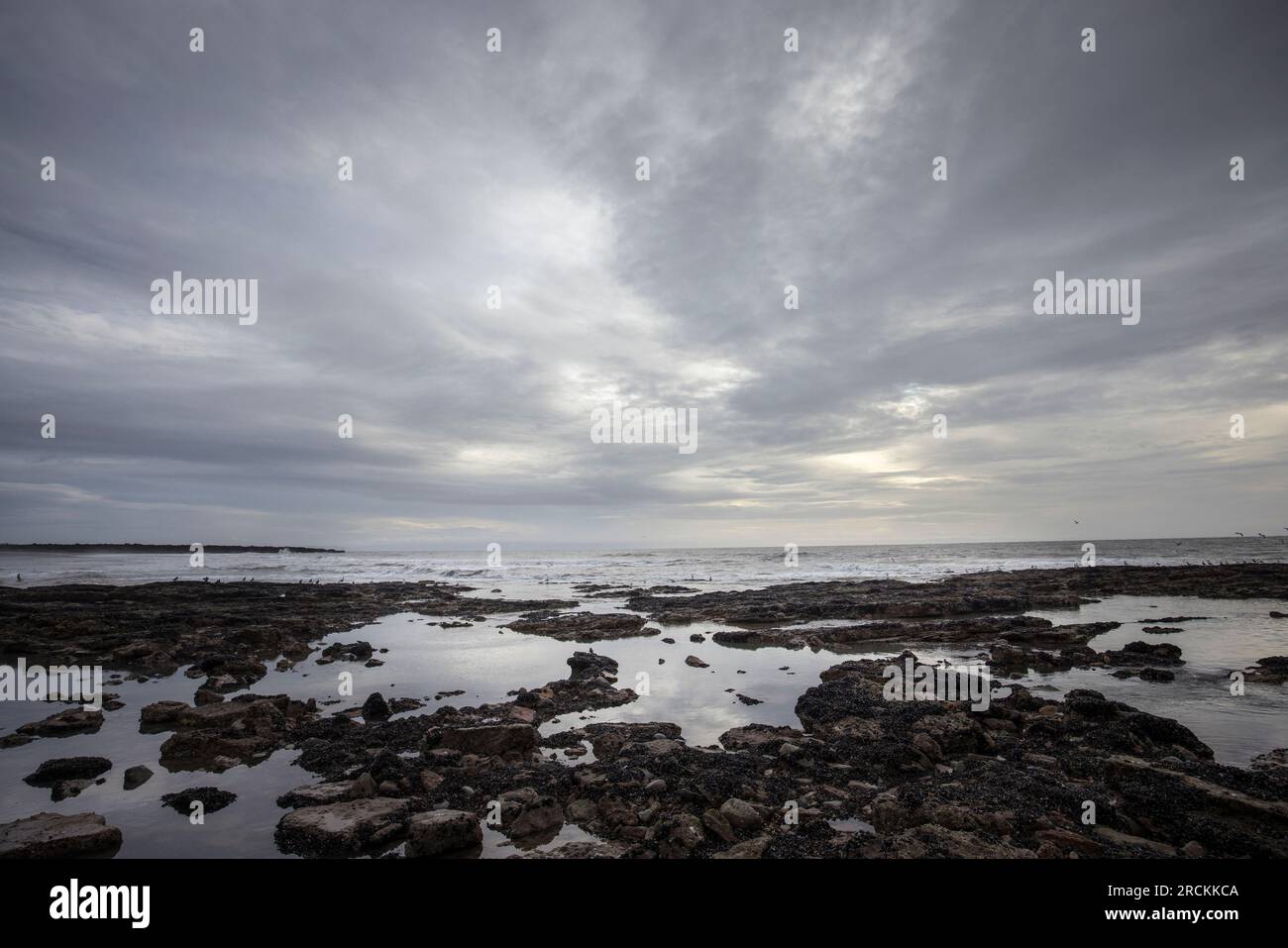 Rivage rocheux avec nuages, Kenfig Beach, pays de Galles, Royaume-Uni Banque D'Images