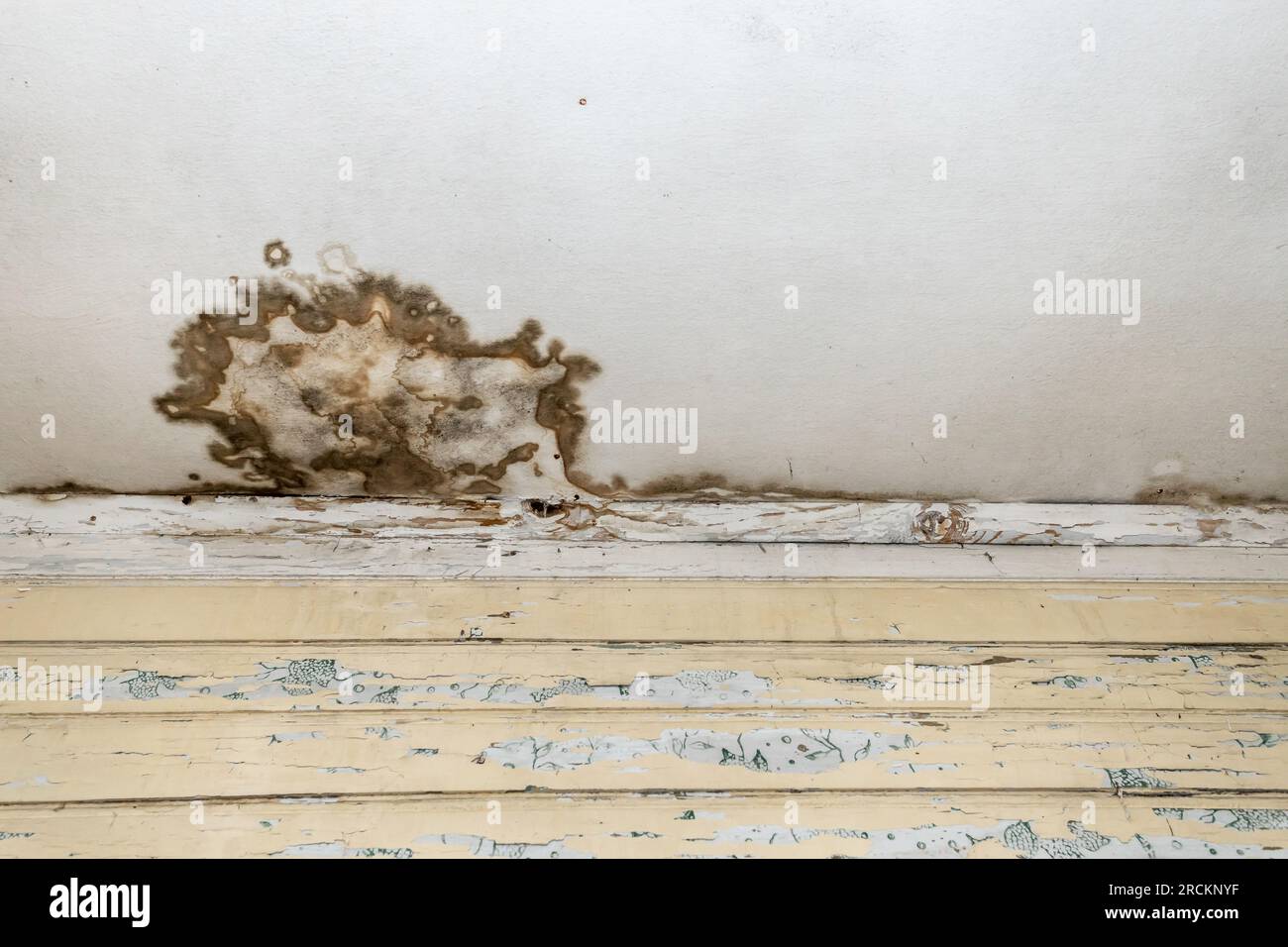 Moisissures et taches de moisissure sur le plafond ou le mur en raison d'une mauvaise ventilation de l'air et d'une humidité élevée. Atteinte à la santé. Banque D'Images