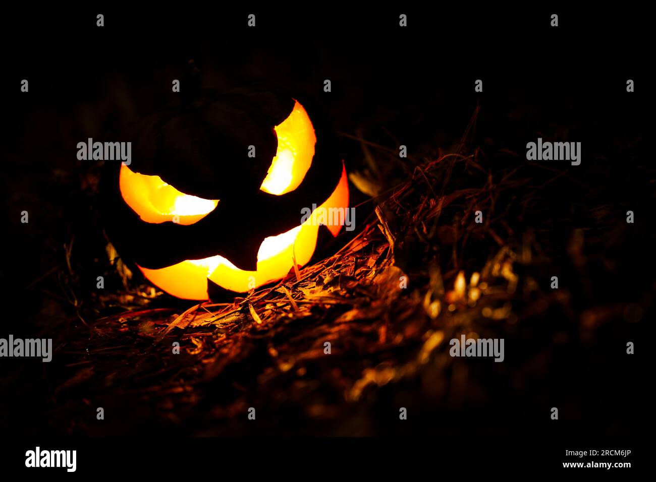Halloween citrouille Jack o Lanterne incandescente la nuit Banque D'Images