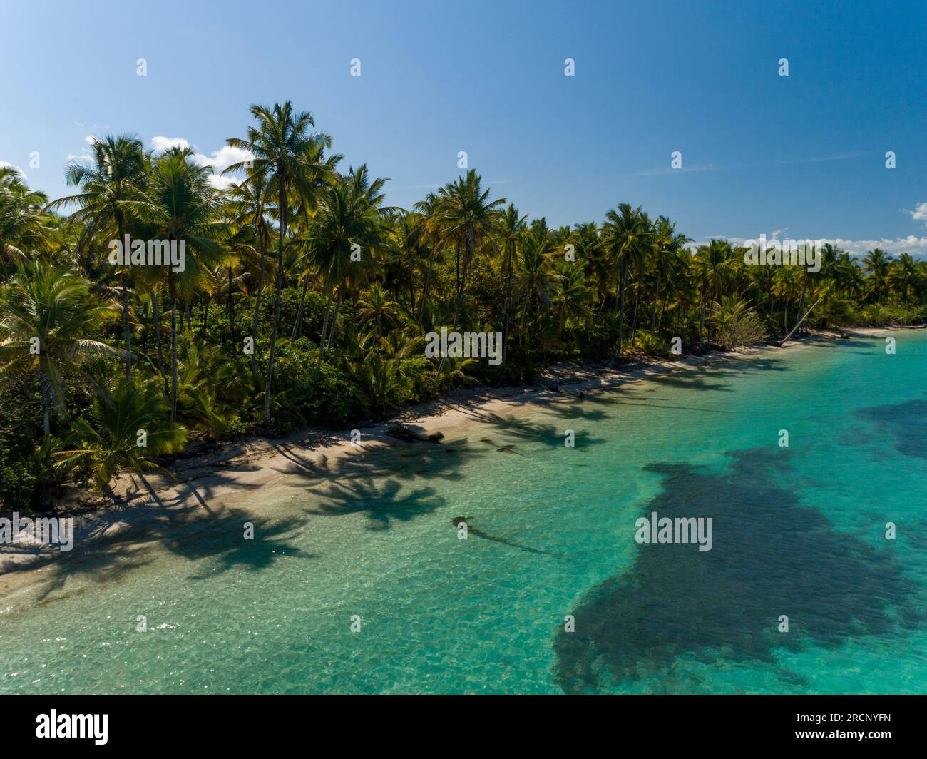 Vue aérienne de la plage de Boca del Drago, Bocas del Toro, Panama - stock photo Banque D'Images