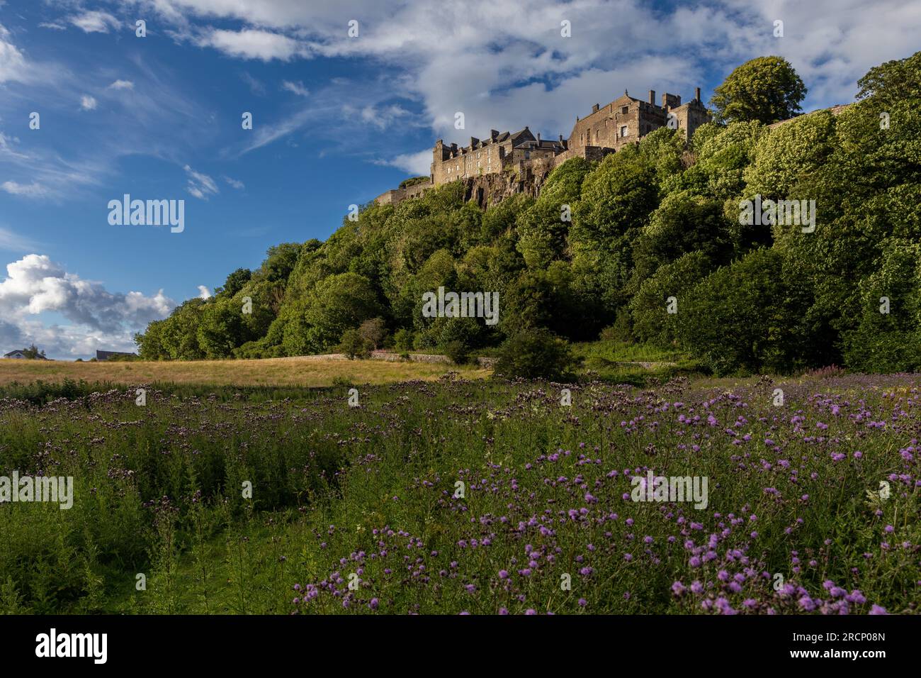 Château de Stirling l'un des châteaux les plus célèbres et les plus importants d'Écosse Banque D'Images
