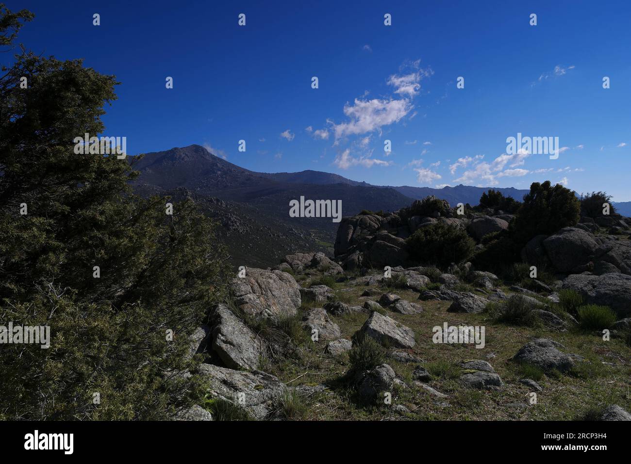 SAMSUNG SCC Banque D'Images