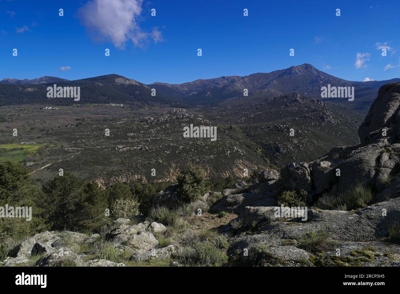 SAMSUNG SCC Banque D'Images