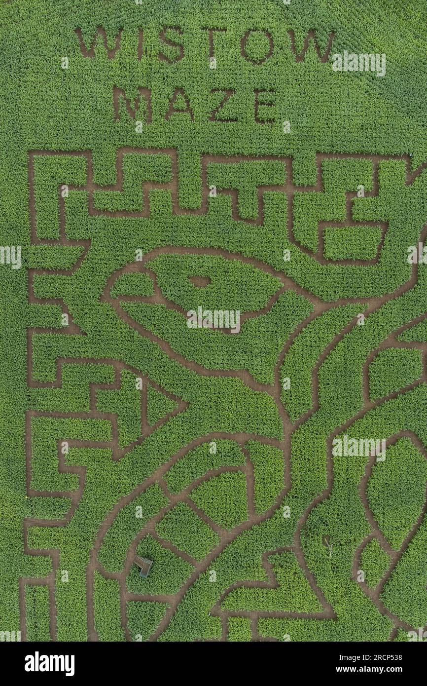 Wistow Maze à Wistow, Leicestershire, qui a été conçu cette année pour représenter une tortue verte de mer, afin de sensibiliser la population aux animaux marins menacés causés par le changement climatique et d'autres activités humaines nuisibles. Le labyrinthe de maïs de huit acres avec trois miles de sentiers, est créé à l'aide de la technologie de satellite GPS et ouvre au public le 17 juillet. Date de la photo : dimanche 16 juillet 2023. Banque D'Images