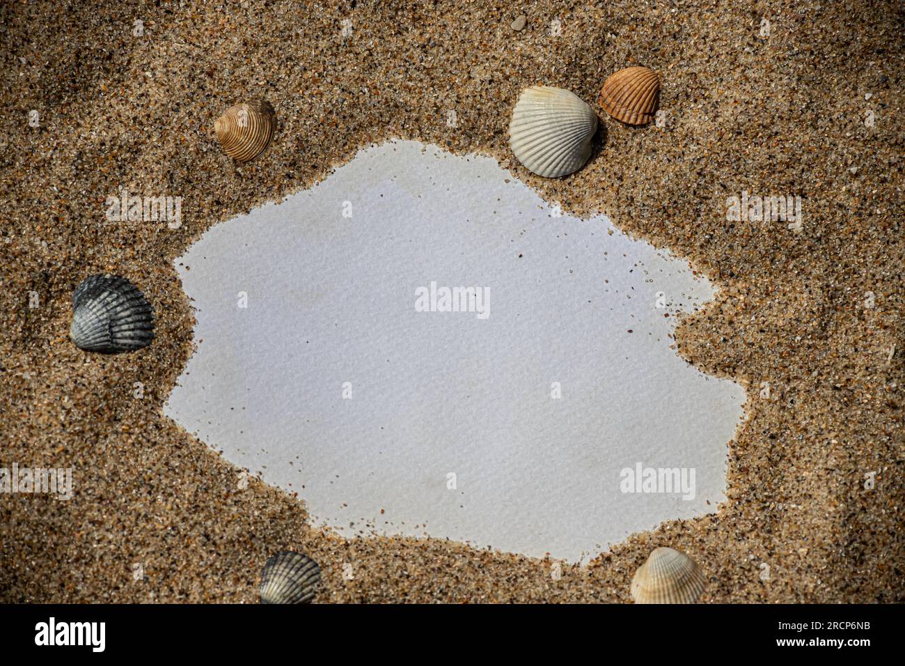 Feuille de papier blanc vierge sur du sable blanc avec des coquillages et des pierres. Message au bord de la mer, romantisme, Saint-Valentin, fête des mères, fête des pères. Station santé Copy Banque D'Images