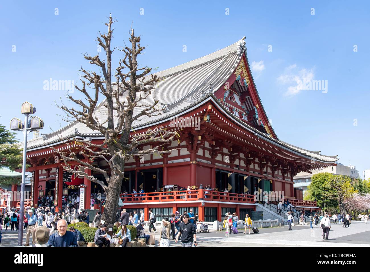 Tokyo, Japon- 1 avril 2023 ; temple bouddhiste Senso-ji ou Asakusa Kannon à Asakusa, quartier de Taito avec des touristes et des locaux autour du temple Banque D'Images