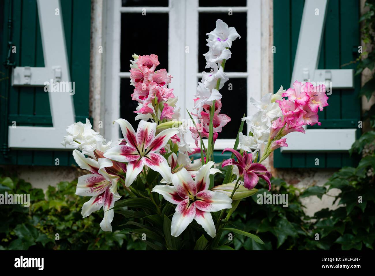 Bouquet de lys roses et blancs, lys Zéba, November Rain et glaïeuls White Preosperity, glaïeul Wine and Roses, (jardin du ruisseau de l'église 2023) Banque D'Images