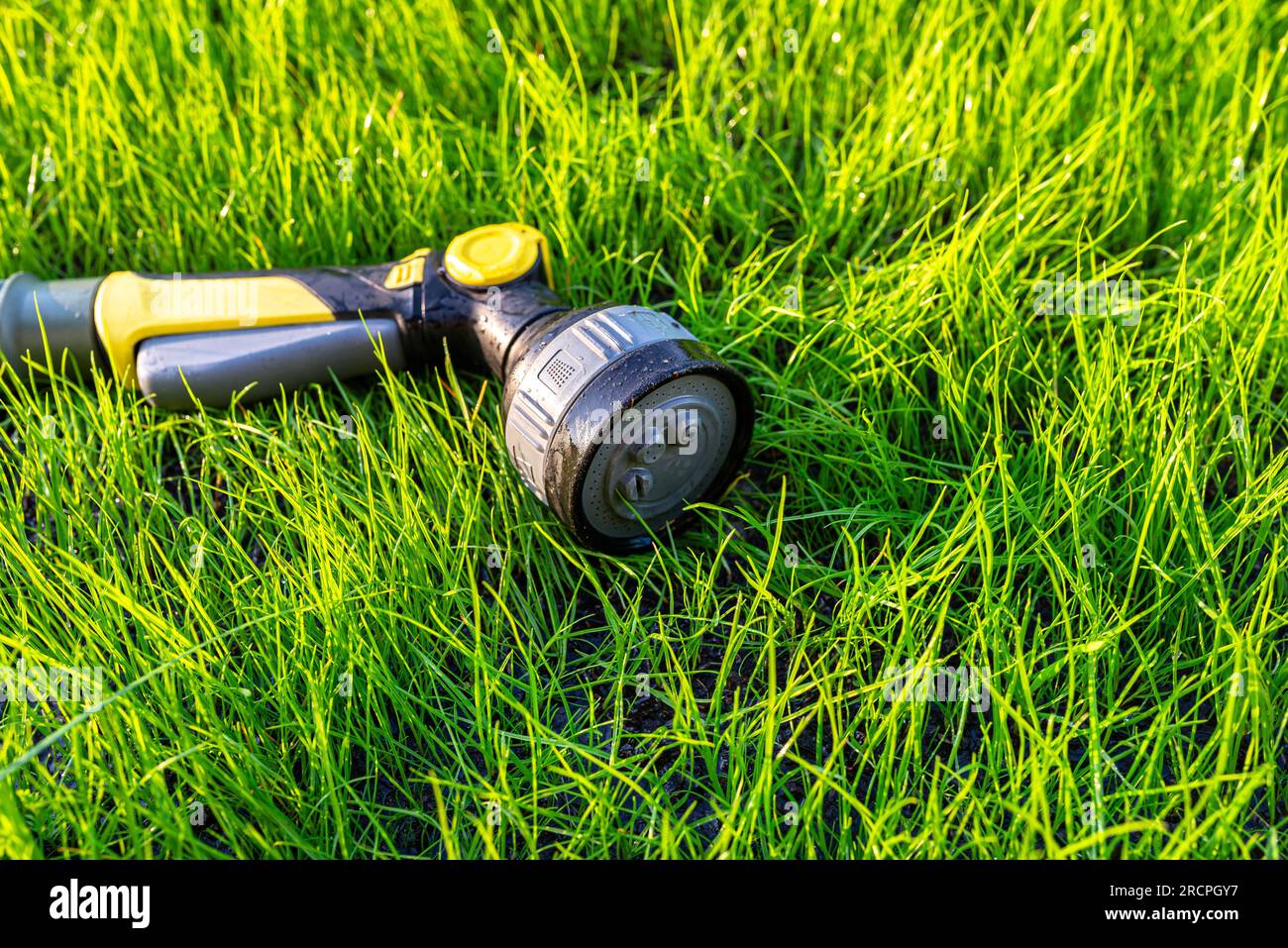 Un pistolet d'arrosage allongé sur de jeunes herbes avec un tuyau attaché. Banque D'Images