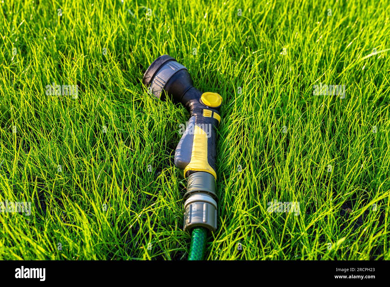 Un pistolet d'arrosage allongé sur de jeunes herbes avec un tuyau attaché. Banque D'Images