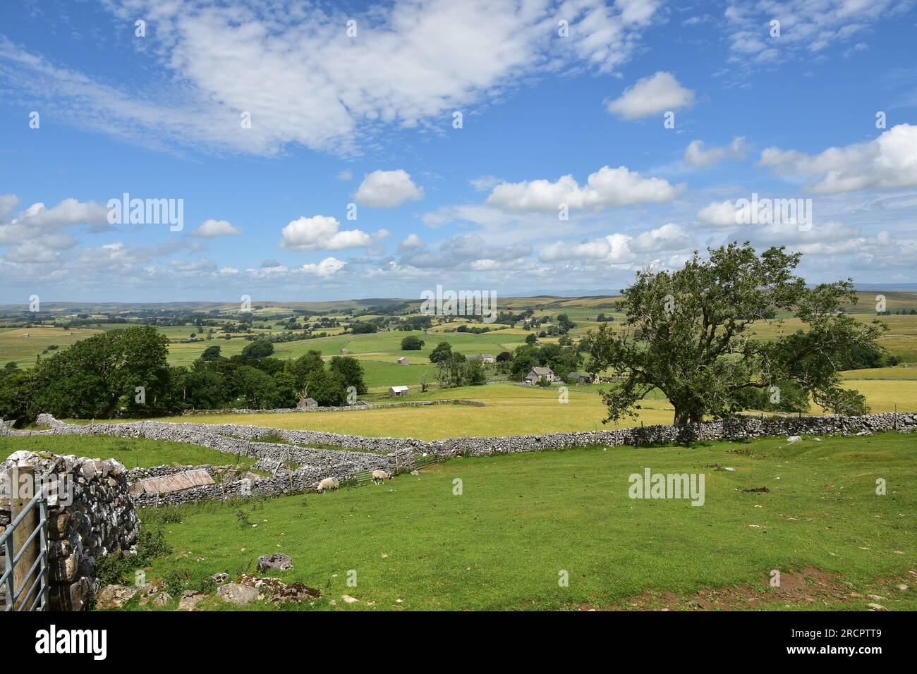 Stennerskeugh, paysage calcaire, EdenValey, Cumbria Banque D'Images