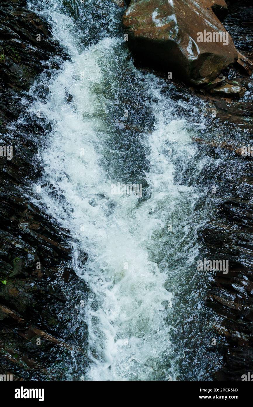 Cascade de montagne, grande chute d'eau, rivière de montagne près de la roche. Cascade Huk, Carpates ukrainiennes Banque D'Images