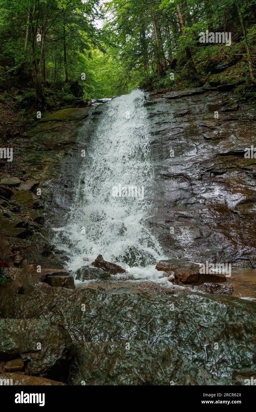 Cascade sur les falaises de montagne. Cascade de montagne dans les montagnes. Montagnes Carpates Banque D'Images