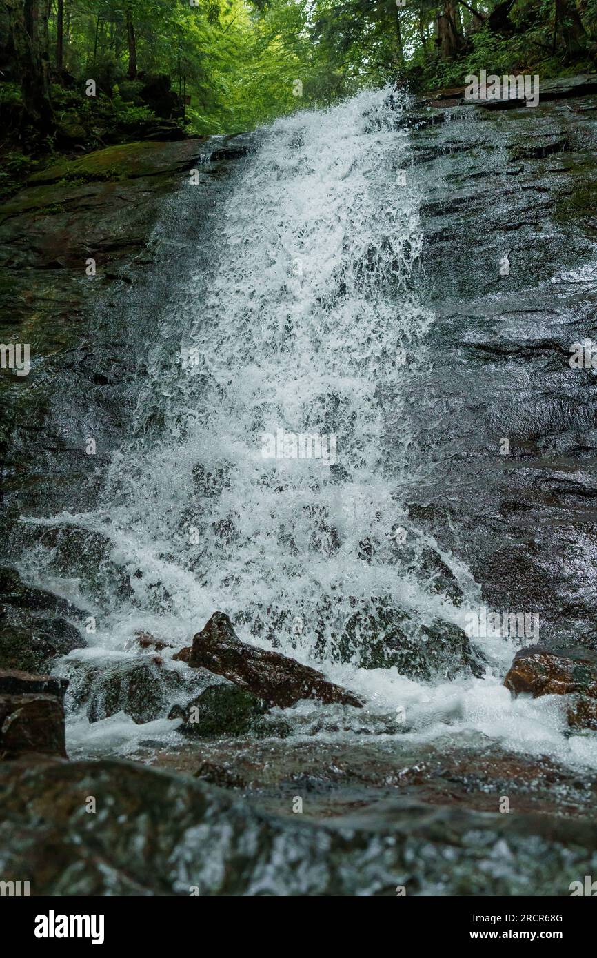 Cascade sur les falaises de montagne. Cascade de montagne dans les montagnes. Montagnes Carpates Banque D'Images