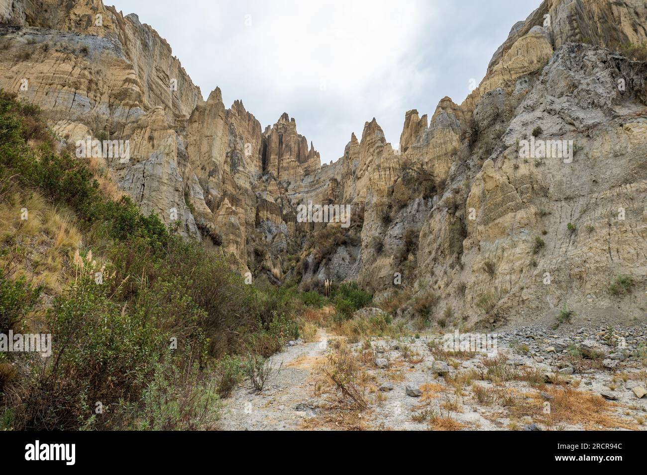 Sentier Dry River Bed Pathway Walk dans les montagnes de Valle de Las Animas (Vallée des esprits) Banque D'Images