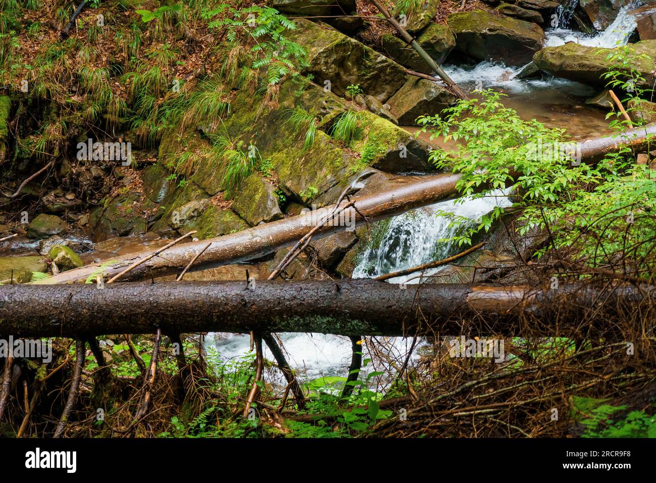 Cascade sur les falaises de montagne. Cascade de montagne dans les montagnes. Montagnes Carpates Banque D'Images