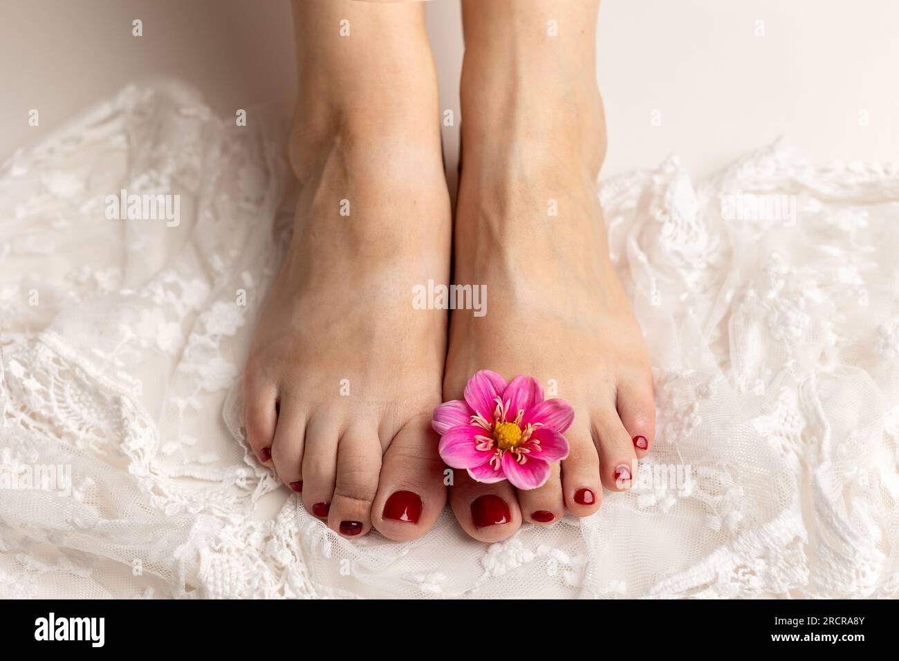 Gros plan de pieds féminins blancs doux avec une belle pédicure rouge sur dentelle blanche, avec une fleur rose sur l'un des pieds Banque D'Images