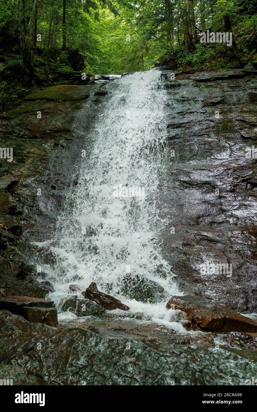 Cascade sur les falaises de montagne. Cascade de montagne dans les montagnes. Montagnes Carpates Banque D'Images