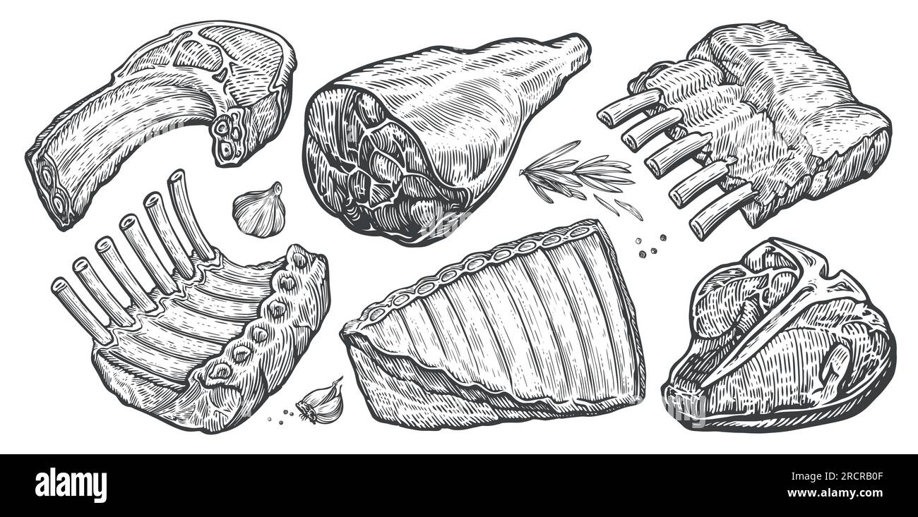 Morceaux de viande crue ensemble. Steak, côtes levées, illustration vectorielle de jambon. Style de gravure de croquis dessiné à la main Illustration de Vecteur
