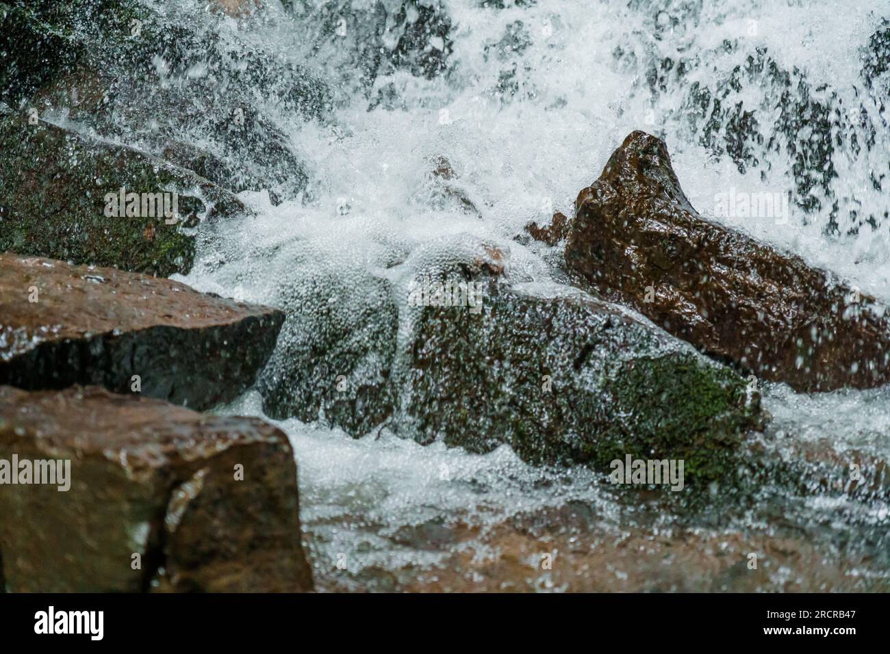 Cascade sur les falaises de montagne. Cascade de montagne dans les montagnes. Montagnes Carpates Banque D'Images